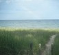 [Image: The Cottage on Lake Michigan â Large Sand Beach, Wooded Lot, Family Friendly]