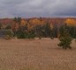 [Image: The Cottage on Lake Michigan â Large Sand Beach, Wooded Lot, Family Friendly]