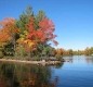 [Image: Rustic Wooded Lake Seclusion in a Cozy Log Cabin]