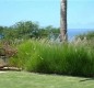 [Image: Mauna Kea Family Vacation Home! Minutes from Hapuna Beach! 7th Night Free!]