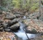 [Image: Luxury Mountain Cabin Inside Monongahela National Forest]