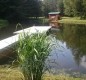 [Image: Charming 1890's Farmhouse with Pond &amp; Lots of Wildlife on 34 Acres]