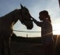 [Image: Family Vacation Farm in West Virginia: Ponds, Atvs, Horses...]