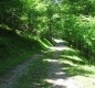 [Image: Serene, Cozy Cabin Nestled on the Greenbrier River Trail.]