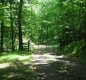 [Image: Serene, Cozy Cabin Nestled on the Greenbrier River Trail.]