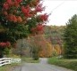 [Image: Newest Cottage in Scenic Mountain Forest Near New River Gorge]