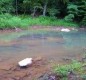 [Image: Retreat Cottage on Whitewater Stream]