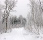 [Image: Aspen Hideout Near Yellowstone, Island Park, Grand Teton, Henry's Fork River]