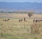 [Image: Idaho's Henry's Fork Ranch Offers Guests More Than All the Others.]