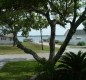 [Image: Sound View Nice Home with Public Pier and Boat Ramp 100 Yards Away]