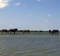 [Image: Front St. Beaufort Nc! Bring Your Boat, Kayaks, and Bikes!]