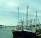 [Image: Front St. Beaufort Nc! Bring Your Boat, Kayaks, and Bikes!]