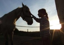 [Image: Family Vacation Farm in West Virginia: Ponds, Atvs, Horses...]