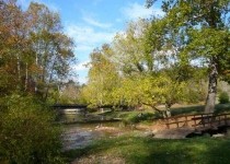 [Image: Woodside Cottage at Creekside Resort]