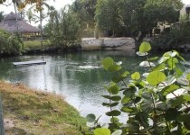 [Image: Oceanfront Property with Lagoon, 2 Heated Pools, and Marina]