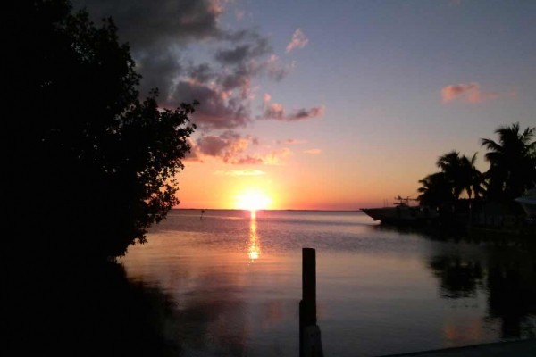 [Image: Key Largo, Key Largo Tropical Oasis]