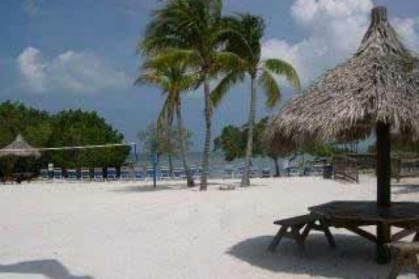 [Image: Oceanfront Beach Resort - Direct Ocean Views - Free Secured Wifi!]