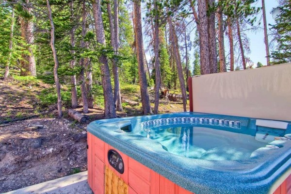 [Image: Spacious Mountain Home with Amazing Views, Hot Tub, Free Shuttle: Sundara Place]