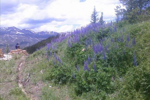 [Image: Gorgeous Views of Peak 10, 9, 8]