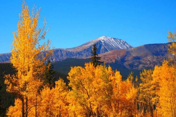 [Image: Gorgeous Views of Peak 10, 9, 8]