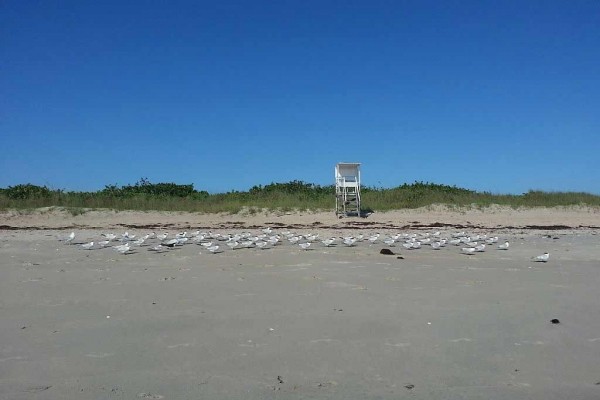 [Image: Spectacular Beachfront View. All Brand New Contemporary Furniture.]