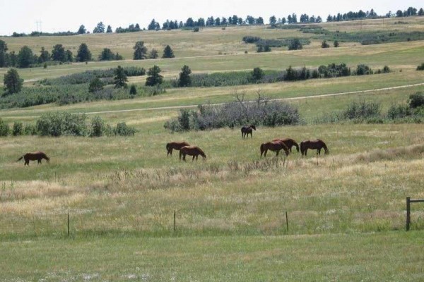 [Image: 35 Ac Country Estate Btw Denver &amp; Colorado Springs, Golf]