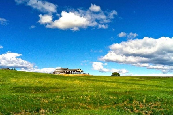 [Image: A Peaceful Getaway for Animal Lovers]