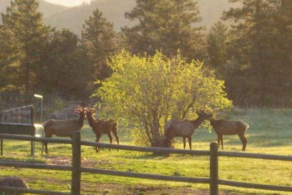 [Image: 2,100 Acre Ranch W/ Two Secluded Rustic Cabins]