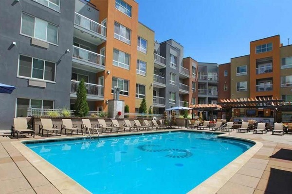 [Image: Book Online! Perfect Denver Location! Pool! Stay Alfred St2]