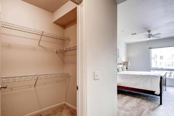 [Image: Book Online! Perfect Denver Location! Pool! Stay Alfred St2]