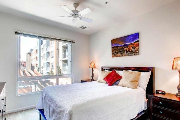 [Image: Book Online! Perfect Denver Location! Pool! Stay Alfred St2]