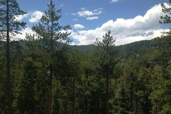 [Image: Brook Forest Mountain Home]