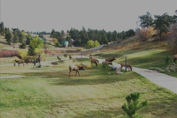 [Image: Spectacular, Log Lodge Nestled in the Foothills, Golden, Co]