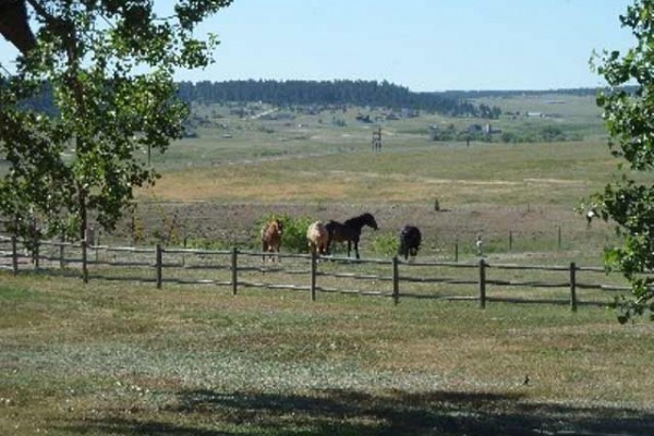 [Image: Diamond K Ranch - Your 300 Acre Playground]