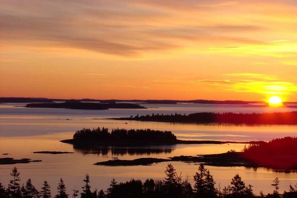 [Image: The Natural Beauty of Downeast, Me Surrounds Pyne Cove Cottage and Welcomes You!]