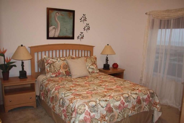 [Image: Oceanwalk - Your Home at the Beach! 3BR, 2BA Spacious Condo-Sleeps 8!!]