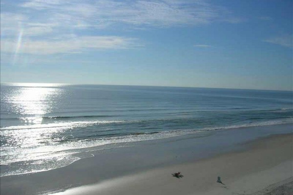 [Image: Beautiful Seaside Condo with Sunshine, Surf &amp; Seashells!]