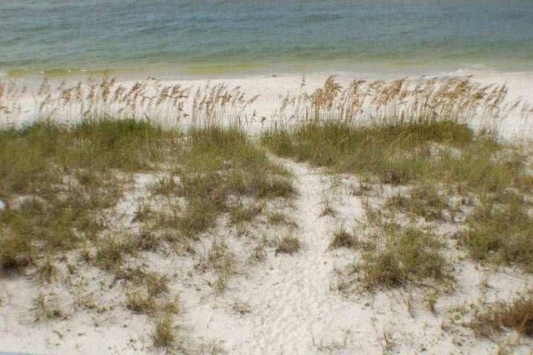 [Image: 2115 Summer Breeze: 2 BR / 1 BA Townhouse in Mexico Beach, Sleeps 6]