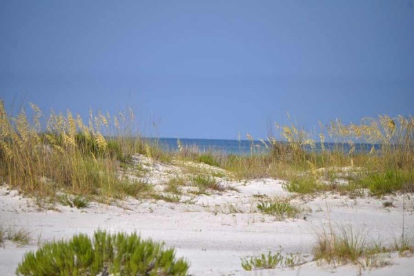 [Image: Beautiful White Sand Beach, Gulf Deep Sea Fishing]
