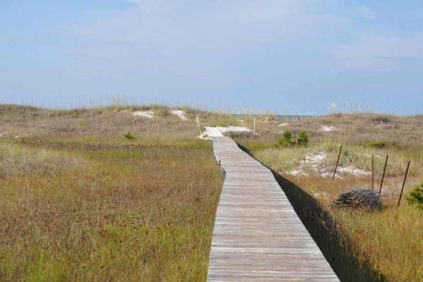 [Image: Beautiful White Sand Beach, Gulf Deep Sea Fishing]