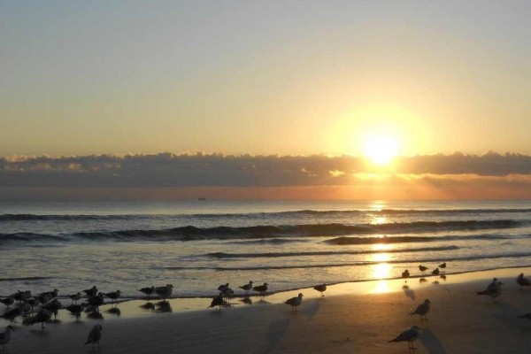 [Image: Luxurious Cottage â Sandy Trails Beach Cottage]