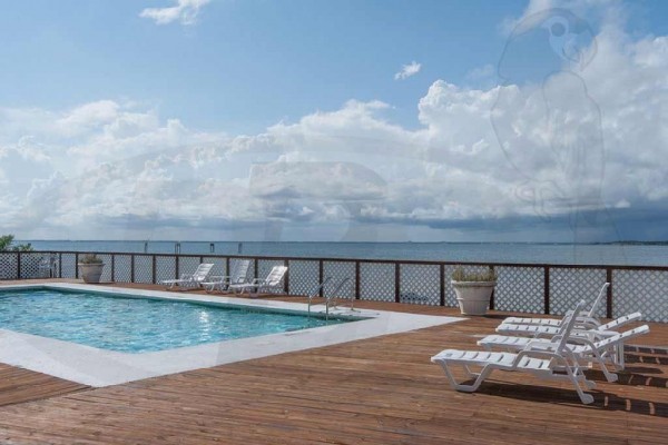 [Image: Palm Beach Club 230 - 2 Bedroom/2 Bathroom Gulf View Condo]