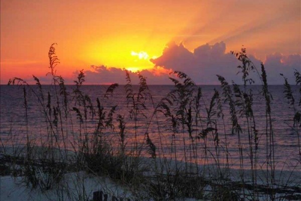 [Image: Great Vacation..St George Plantation on St George Island]