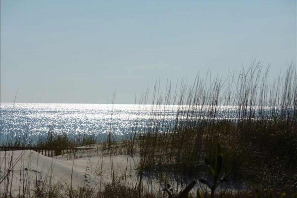 [Image: Great Vacation..St George Plantation on St George Island]