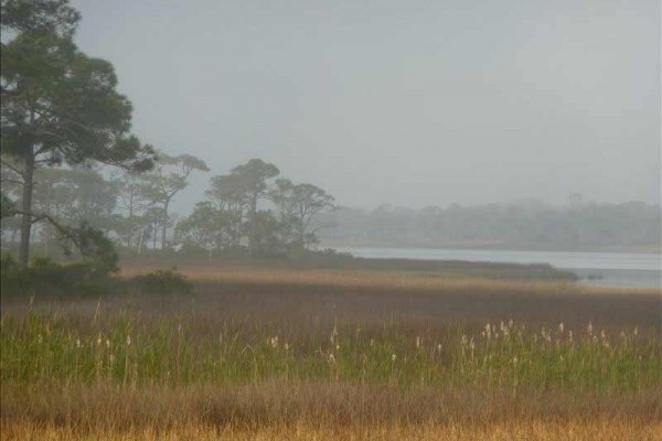 [Image: Great Vacation..St George Plantation on St George Island]