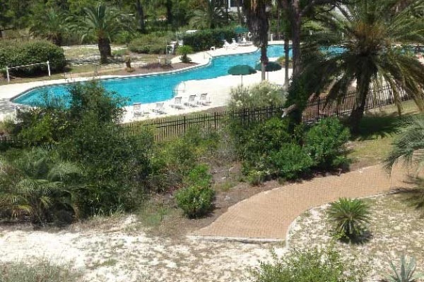 [Image: Immaculate Hidden Gem, Largest Pool, 4/4]