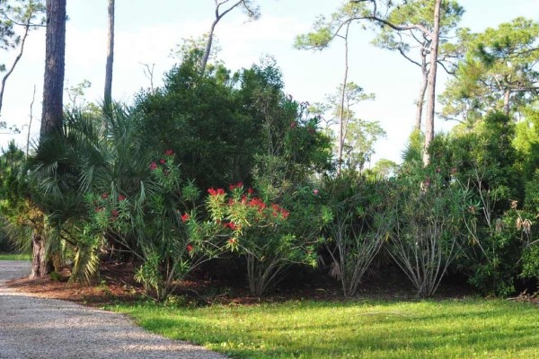 [Image: Private Bayfront Home on 2.5 Acres. Dock with Kayak Launch. $1115/Week Fall Rate]