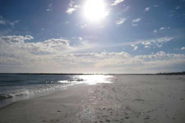 [Image: Beach Blessing...Stunning Views of Gulf and Bob Sikes Cut from Every Window..]