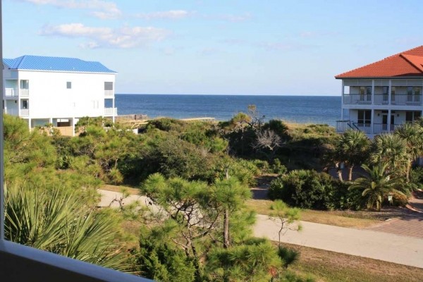 [Image: Angel Fish-Across the Street, Great Gulf Views, Easy Beach Access]