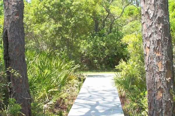 [Image: A Hidden Treasure --Spacious, Comfortable Home, Private Pool, Beach Access]